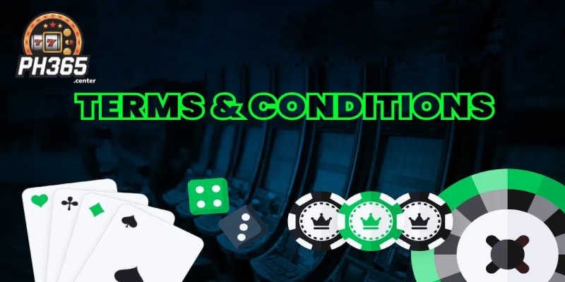 Overview: What Are Terms and Conditions?