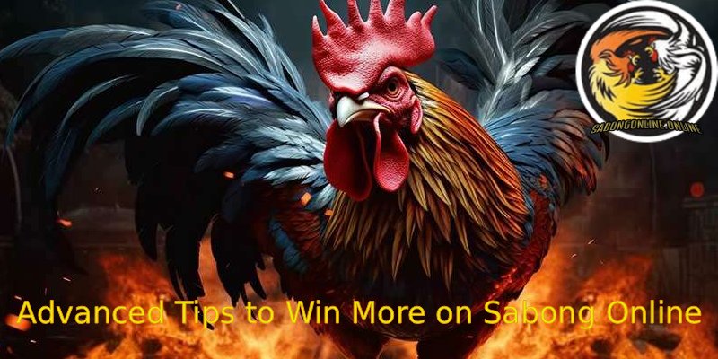 Advanced-Tips-to-Win-More-on-Sabong-Online